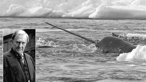 Ken’s Korner: Harry Potter and the narwhal tusk