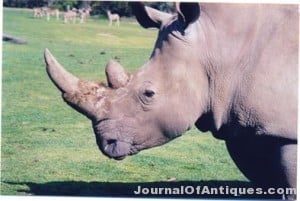 Ken’s Korner: Man jailed for trying to steal a rhino head