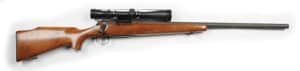 Gavels ‘N Paddles: Remington Model 40 rifle, $26,400, Morphy Auctions