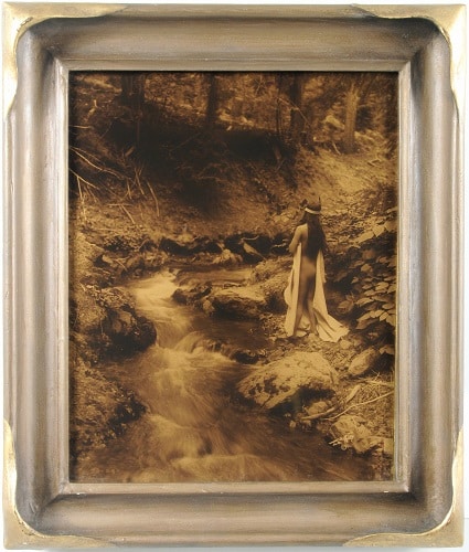 Gavels n' Paddles: Edward Curtis orotone, $6,400, Schwenke Auc.