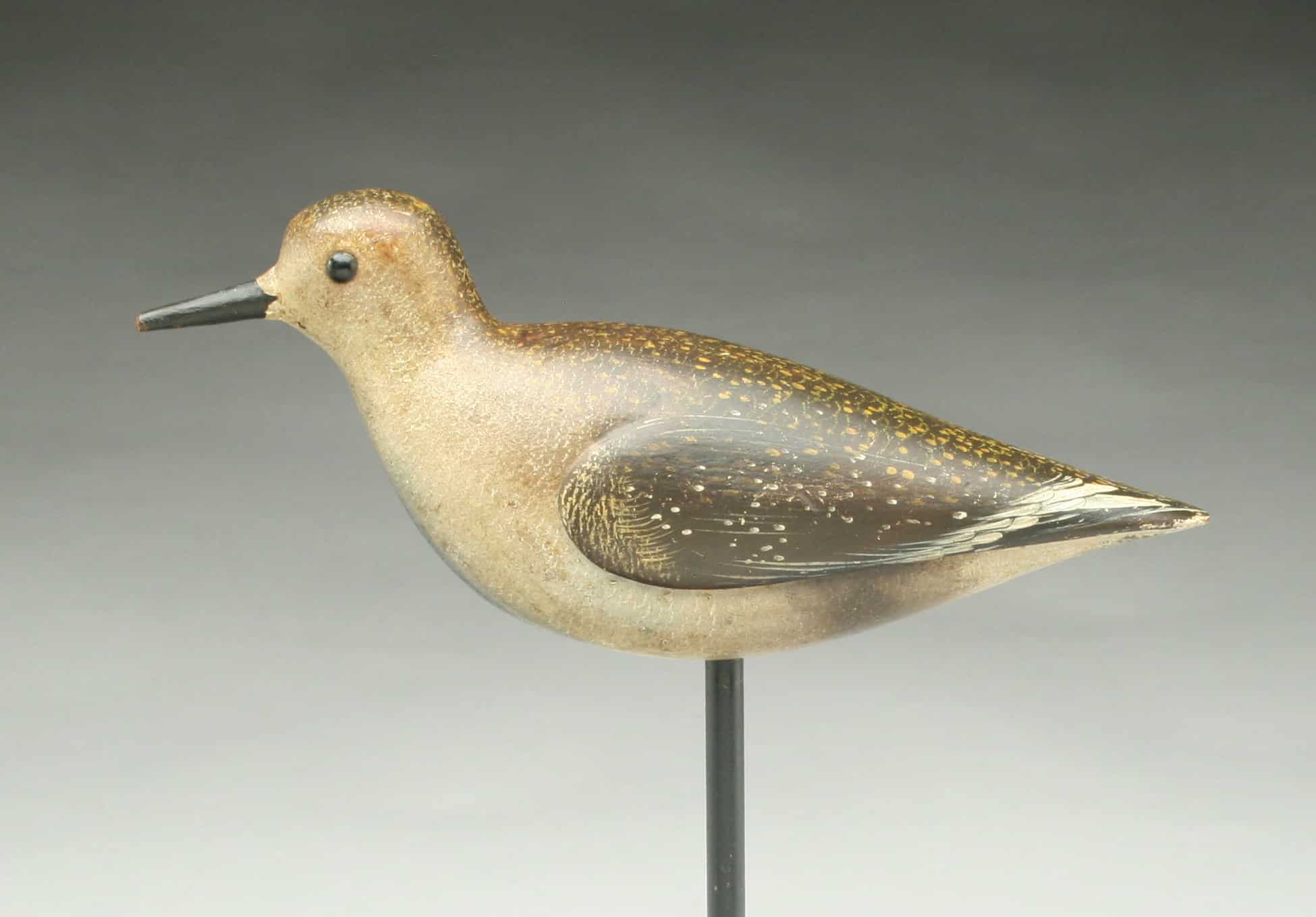 Dilley golden plover decoy