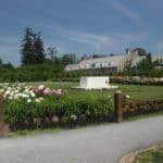 Seeding a Historic Garden