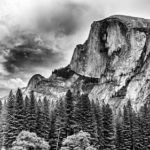 Collectible Photographers
