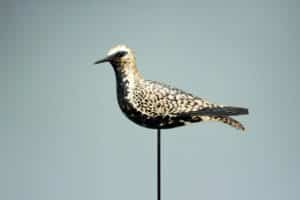 Gavels 'n' Paddles: A. Elmer Crowell plover decoy, $156,000, Copley Fine Art Auctions
