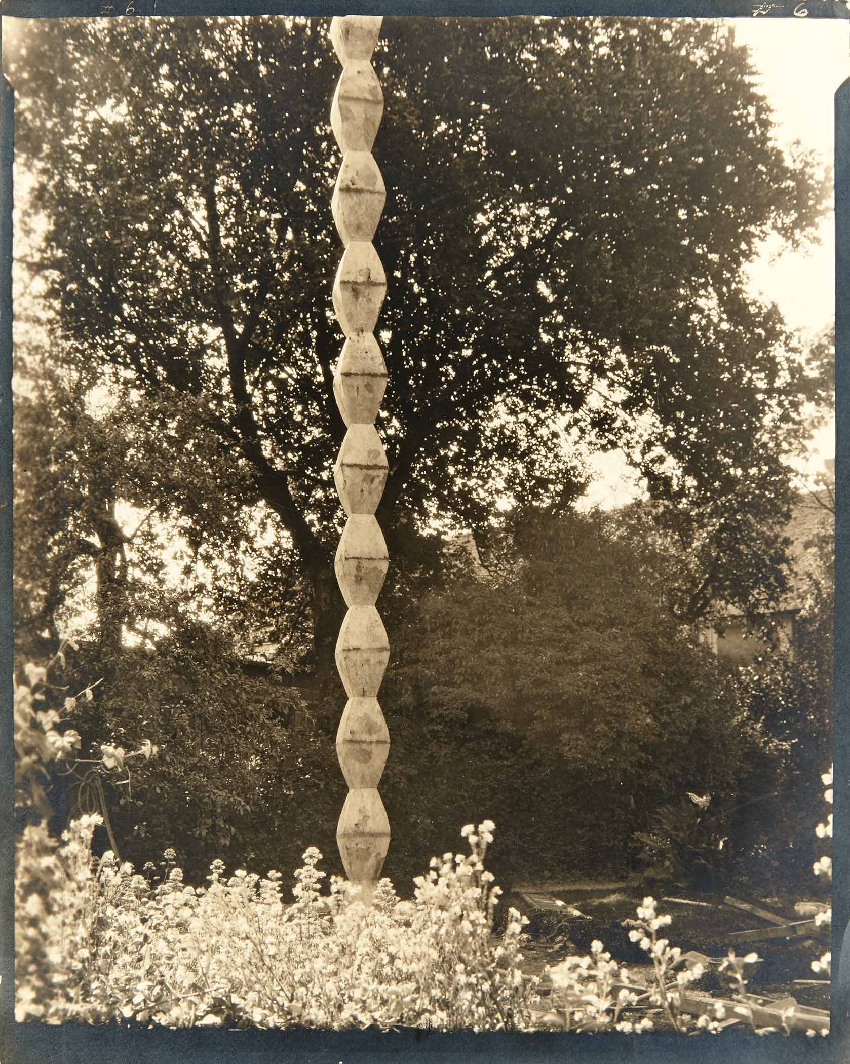 Gavels 'n' Paddles: Edward Steichen photo, $20,000, Doyle