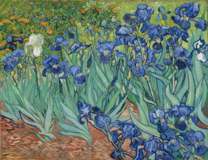 Art Market Advisors And Lioness Art Partners To Form New Firm With Art-Related Resources