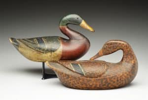 decoys