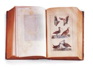 Figure 5: Wilson’s American Ornithology. New York: Samuels, 1853. Th15, Gift of Mr. Walton Ricketson and Miss Anna Ricketson (1929). photo courtesy of the Concord Museum