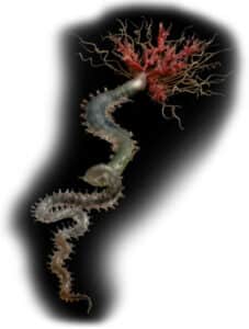 A glass model of a tube worm (Riftia pachyptila). photo: The Guardian