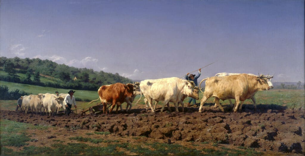 Rosa Bonheur Ploughing in Nevers Google Art Project