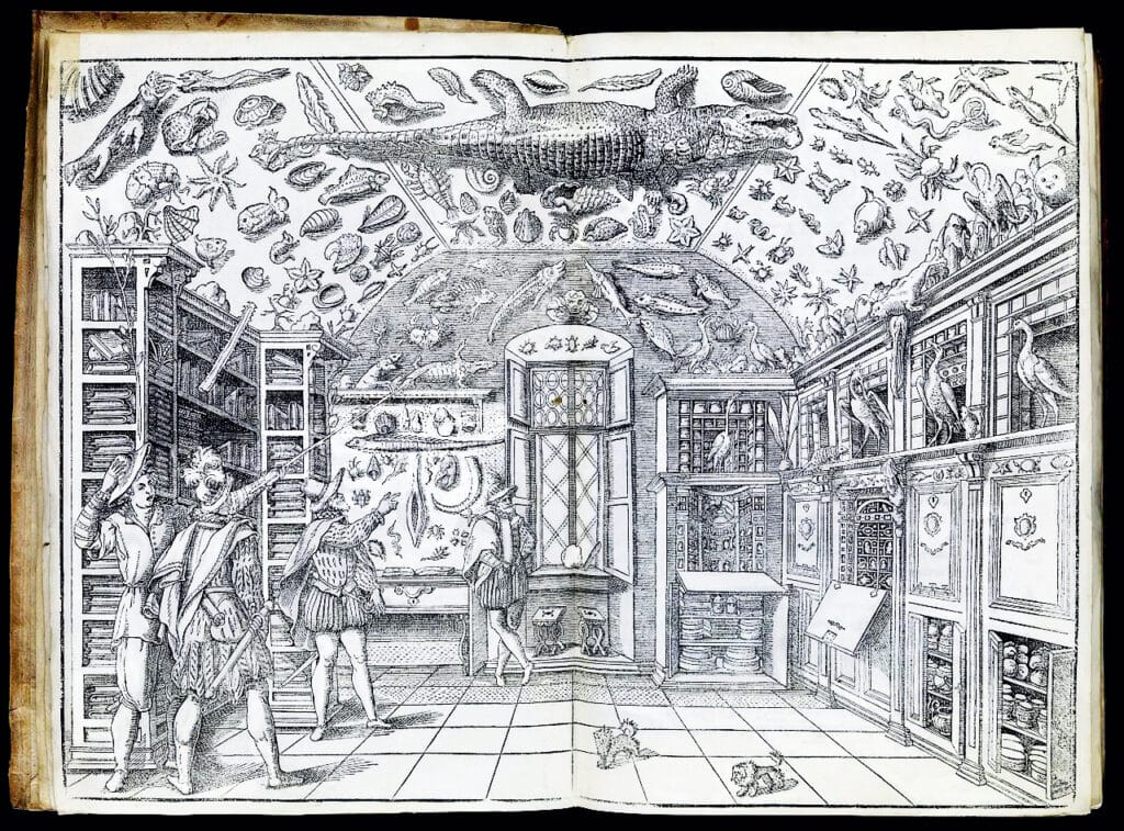 Woodcut of the Wunderkammer room, from Ferrante Imperato, “Dell’historia naturale …” Libri XXVIII (Naples, 1599) photo: Wellcome Collection