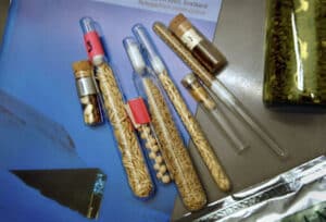seeds in tubes scidevnet