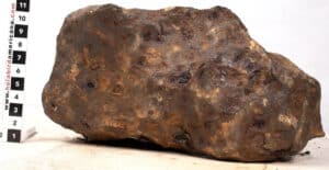 1516 A.D. sold for $4,125 at a Minerals Galore & Western Americana auction held June 2-5 by Holabird Western Americana Collections in Reno, NV.