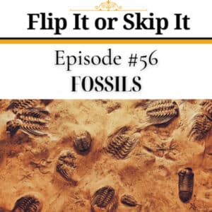 fossils
