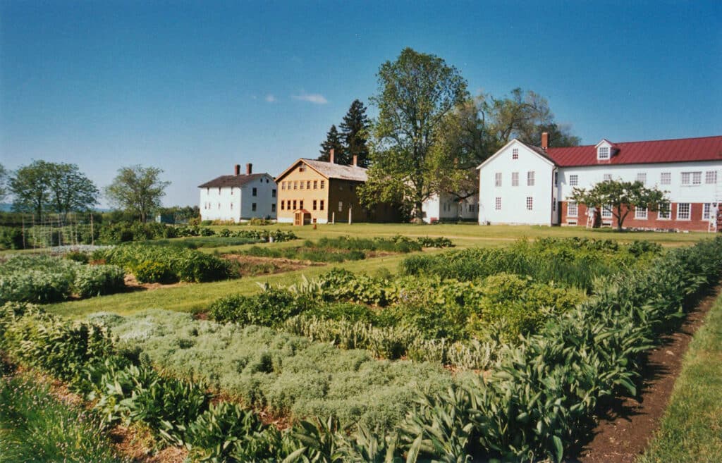 The Journal of Antiques and Collectibles The Social Platform for Antiquers, Collectors, and