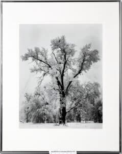 Ansel Adams Yosemite photo
