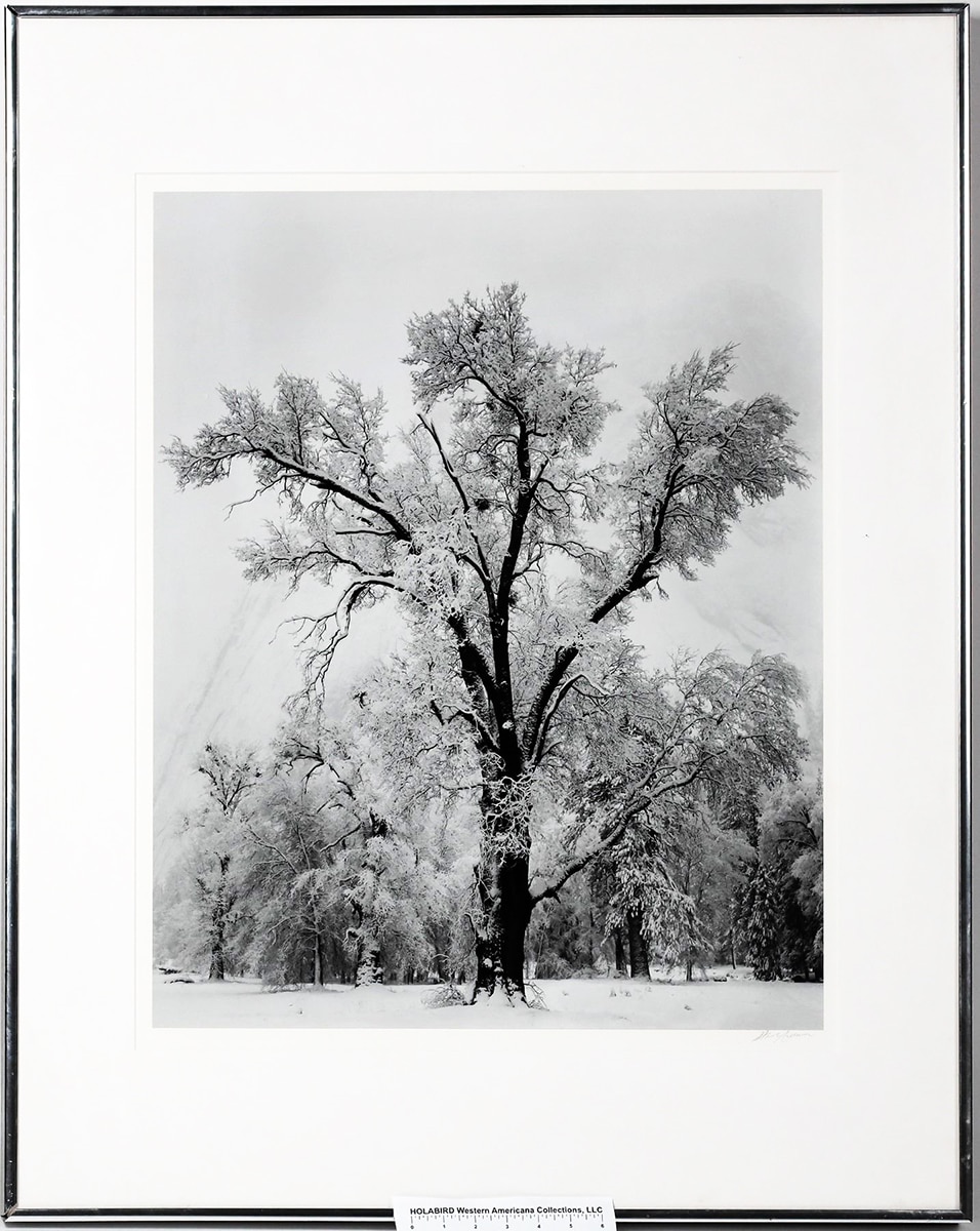 Ansel Adams Yosemite photo