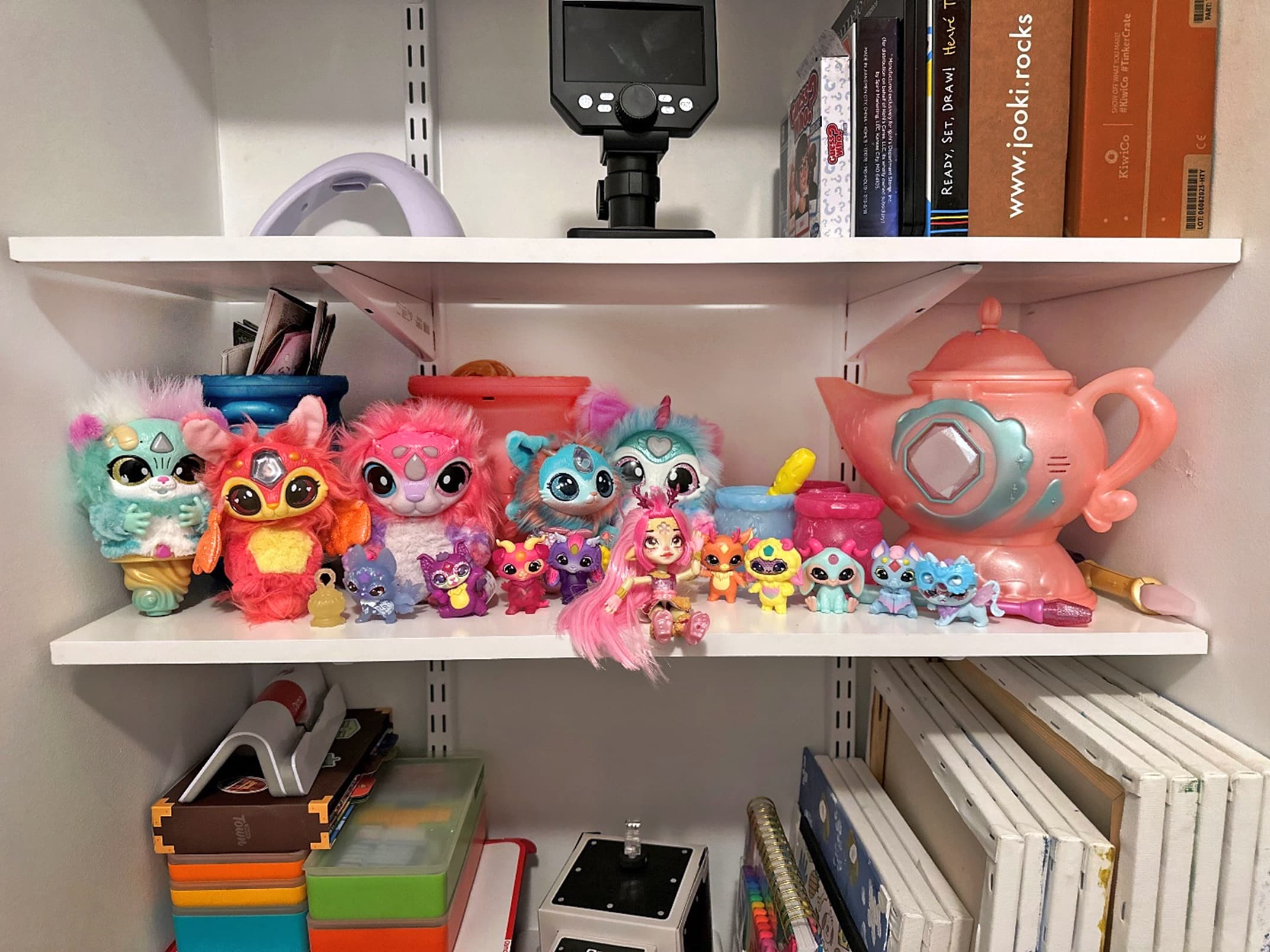 Beatrice’s bookshelf displays her collection of Magic Mixies. photo courtesy of her mother