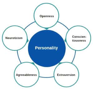 Personality Traits of Collector