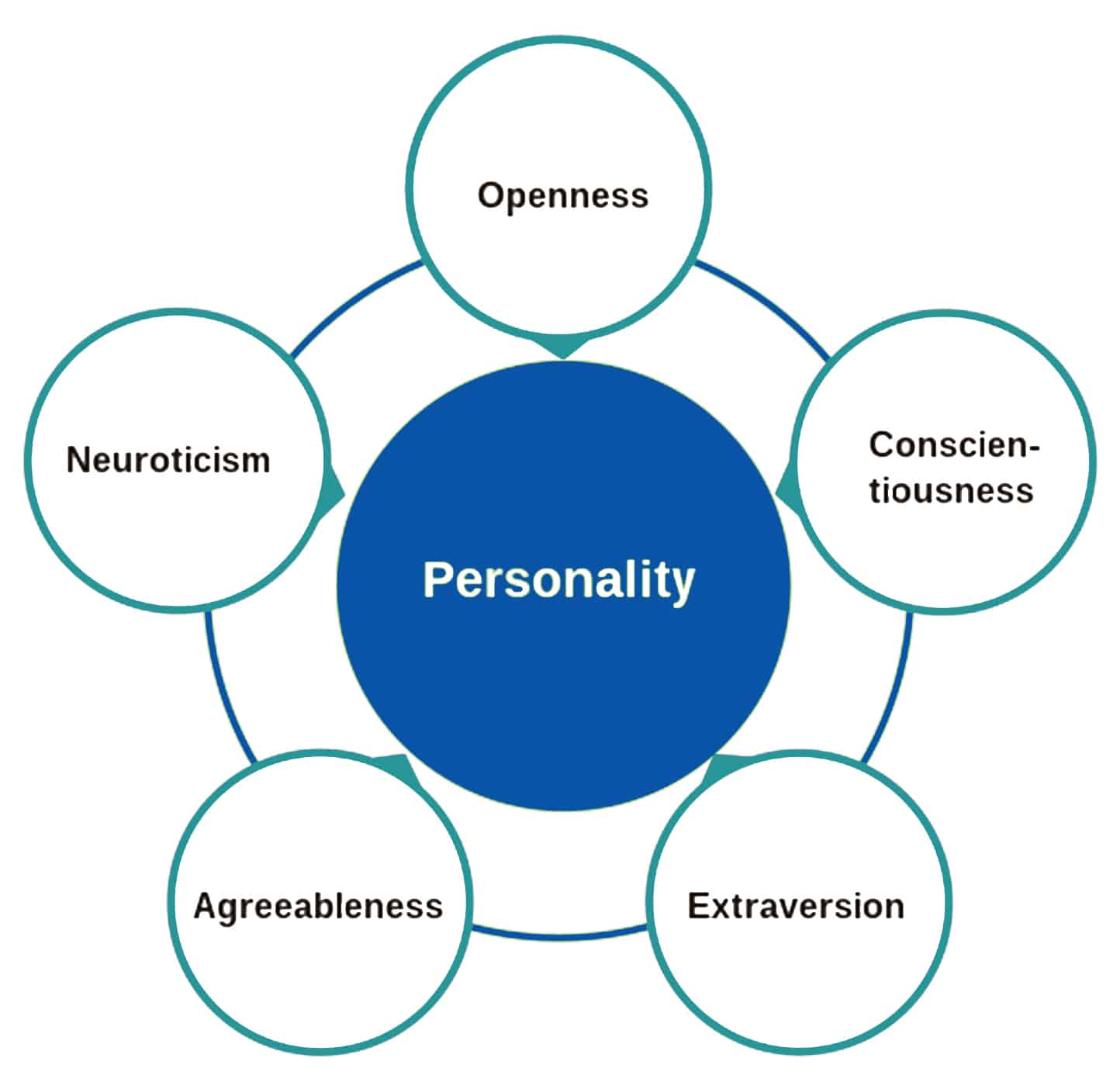Personality Traits of Collector