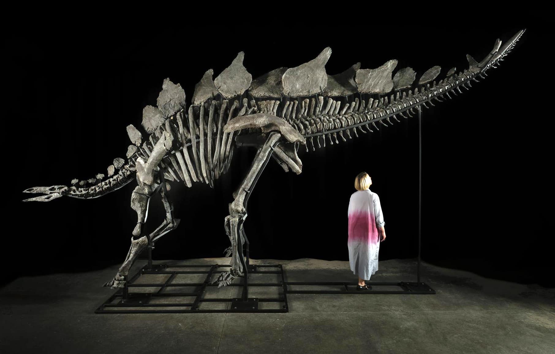 Stegosaurus fossil, $44.6 million, Sotheby’s