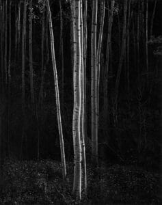 Ansel Adams photo