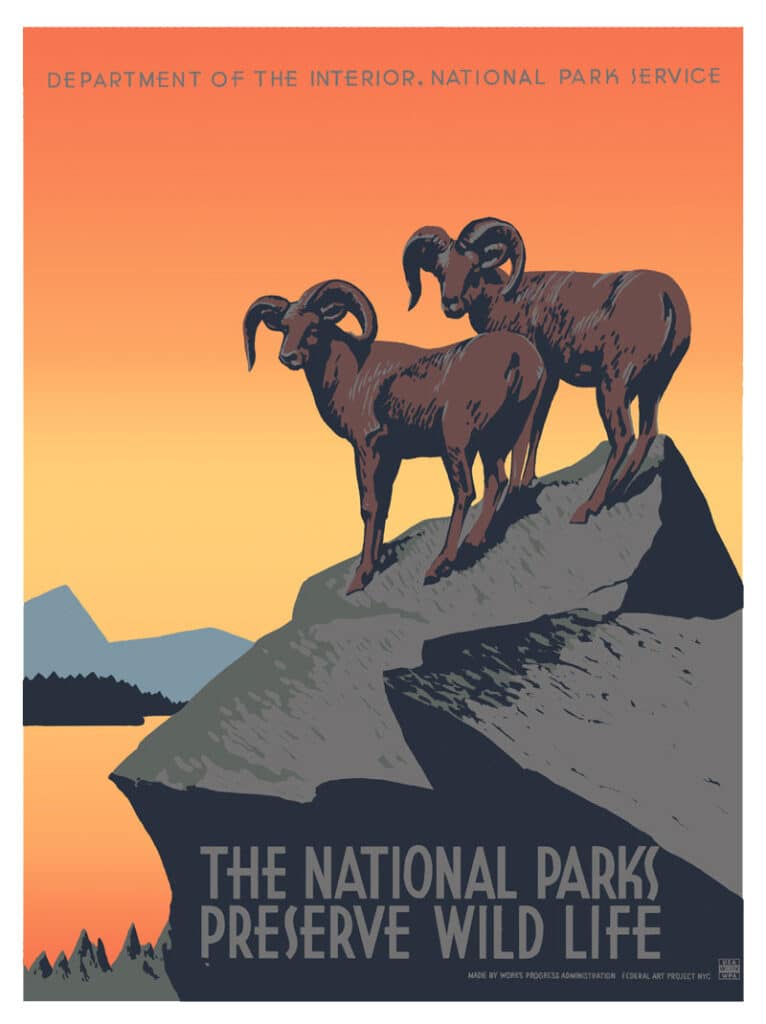 TheNationalParksPreserveWildLife