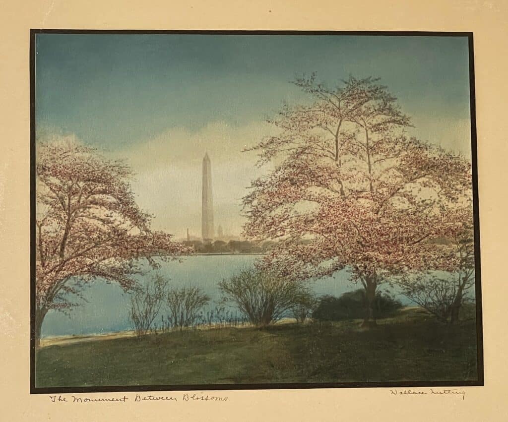 3 MonumentBetweenBlossoms