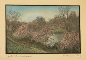 “Pink Blue Green” - The name says it all.