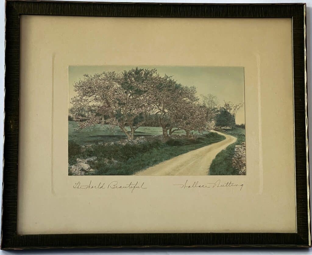 Nutting clearly saw the world through rose-colored glasses, as demonstrated in The World Beautiful.