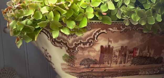 Verbena Vintage Napa