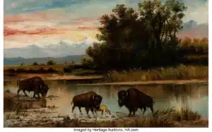 Buffalo by Henry Herman Cross