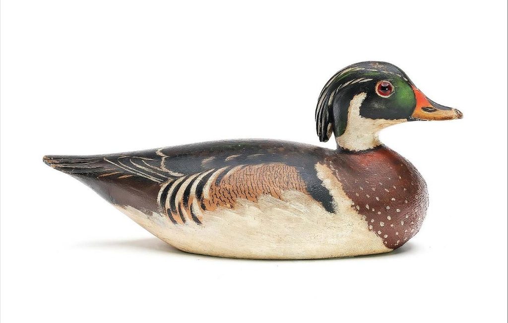 crowell duck