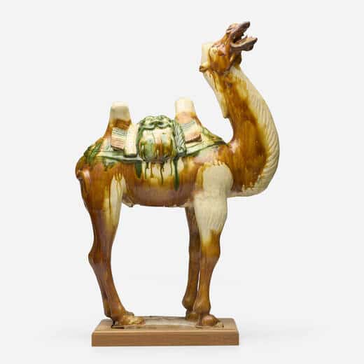 toomey great estates bactrian camel