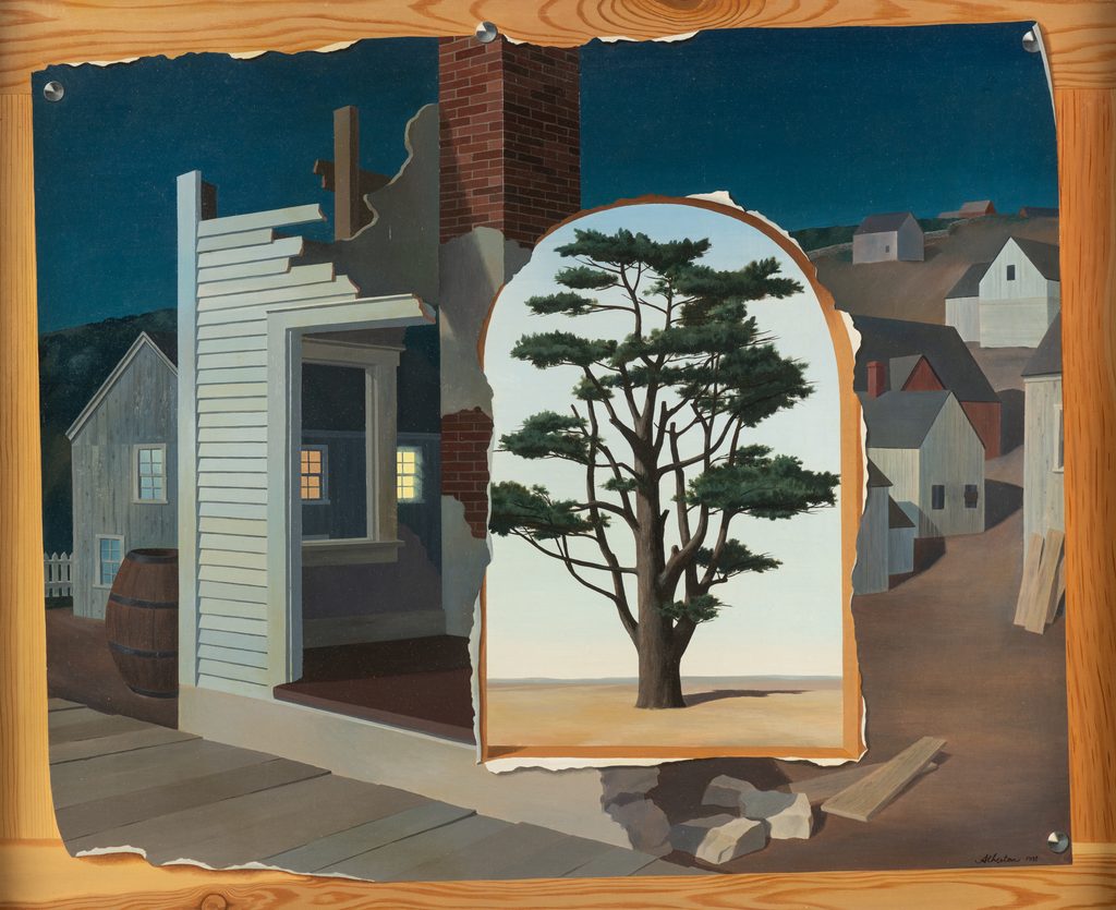 Atherton Pine Tree 2023 6