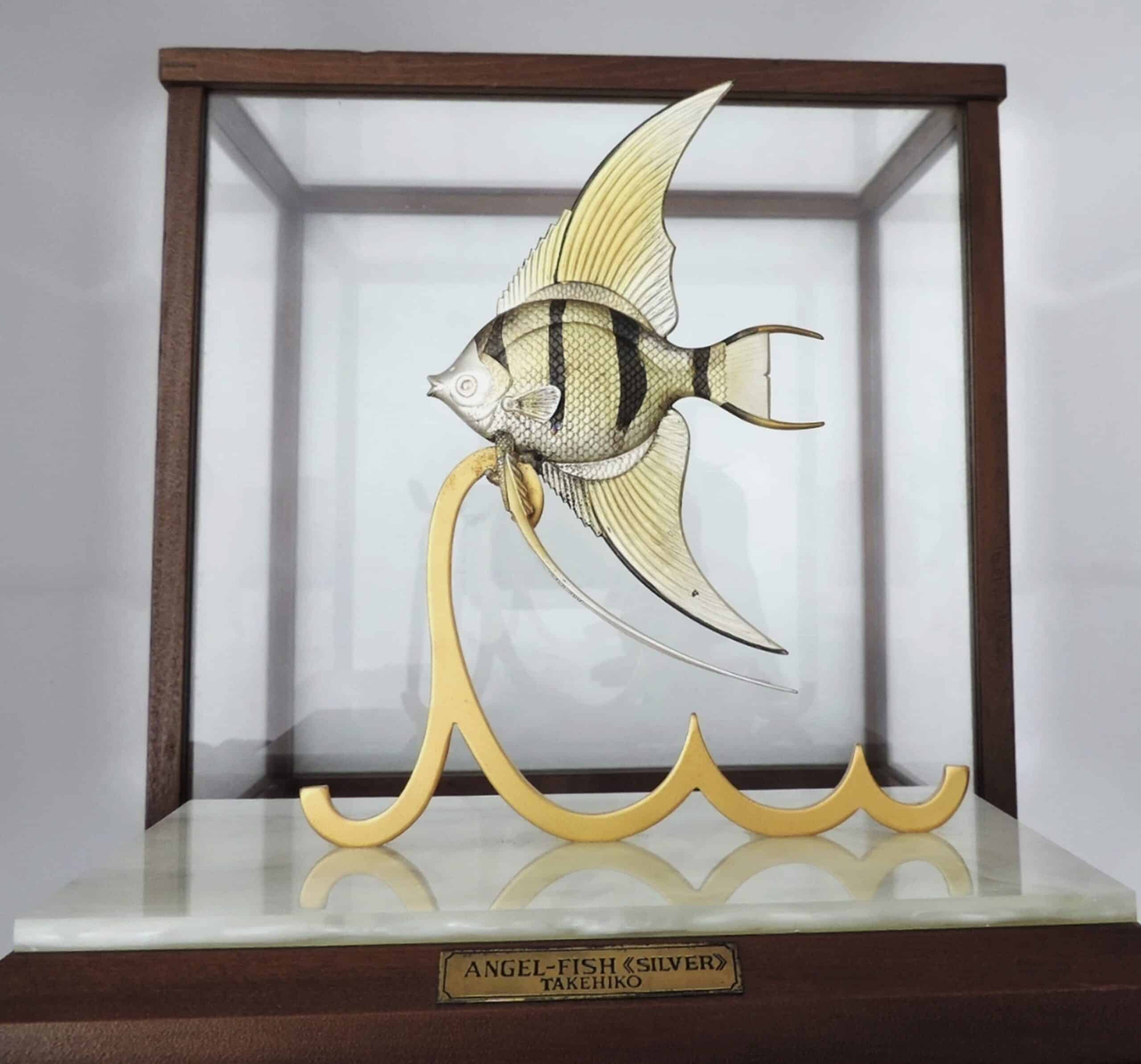 Japanese angel fish