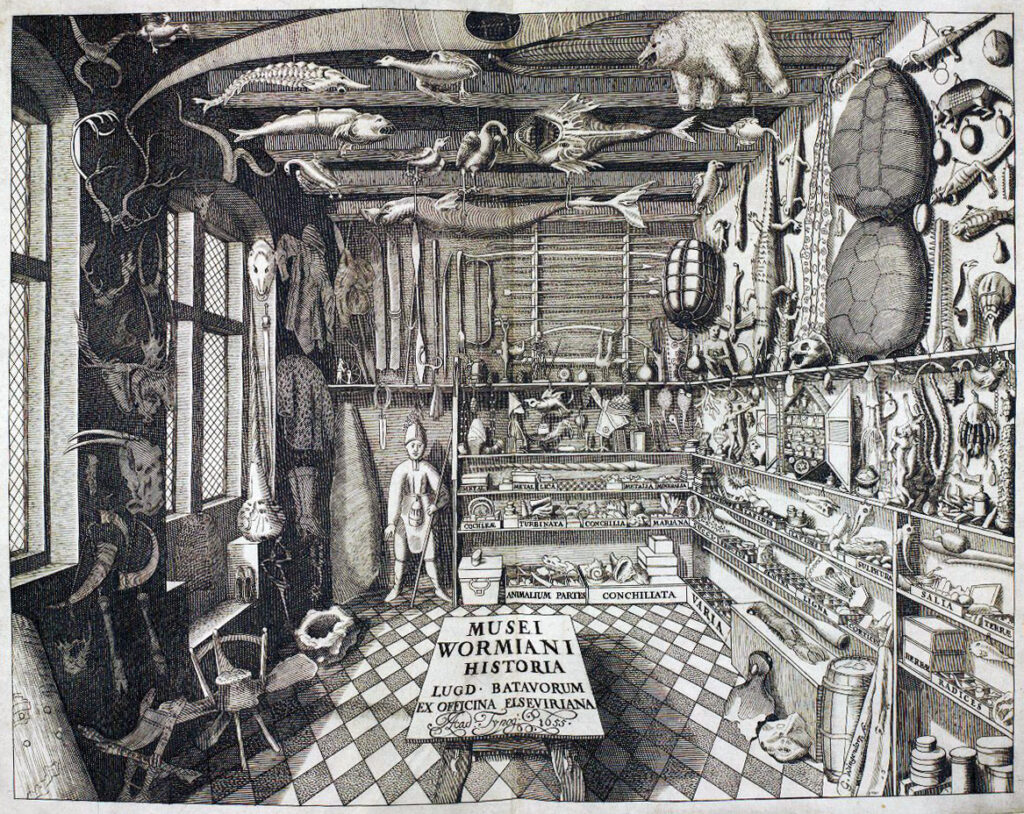 Collecting Curiosities and Oddities