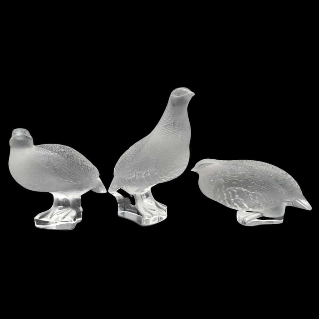 birds