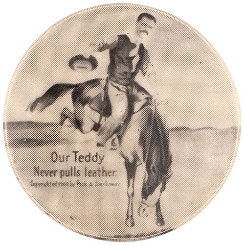 teddy